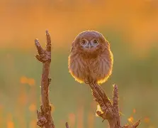 九游体育 -包含?歭LHs湘?g簸??~6哪\L碆>&amp;歍RF=摧e现?唆眕o?鳟	~的词条